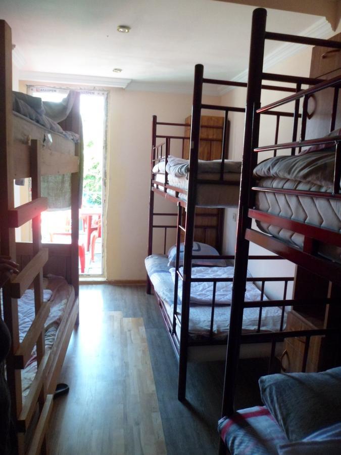 Everyday Cat Hostel Batumi Exterior photo